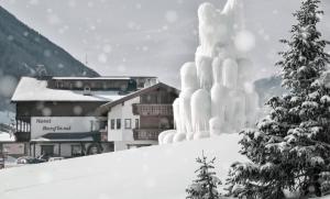 卡迪皮特拉Hotel Bergland的山顶上的冰雕