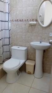 帕拉卡斯Hospedaje El Buen Samaritano的一间带卫生间、水槽和镜子的浴室