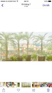 海防F＆F酒店 的棕榈树网站的截图