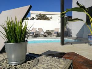 宏达海滩MAGMA Rooms Playa Honda的坐在游泳池旁桌子上的盆栽植物