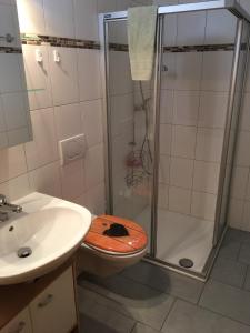WilerHaus Melodie的带淋浴、卫生间和盥洗盆的浴室