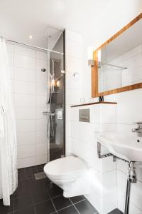 特罗尔海坦西贡奥斯卡克拉丽奥连锁酒店的一间带卫生间和水槽的浴室