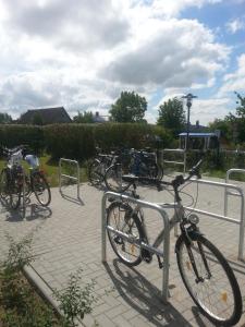 奥斯赛拜-屈隆斯博恩Ferienwohnung Yachthafenperle的停放在自行车架上的一组自行车