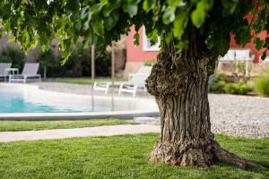 PreixénsHotel Boutique Ca l'Agustina的坐在游泳池旁的草地上的树