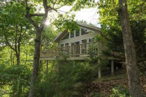 尤里卡斯普林斯Beaver Lake Cottages的树林中带甲板的房子