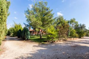 拉戈斯Quinta da Alquimia的一条有树木的车道和一座房子