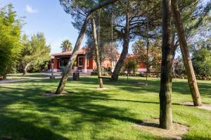 拉戈斯Quinta da Alquimia的公园里一群树木,有一座红色的建筑