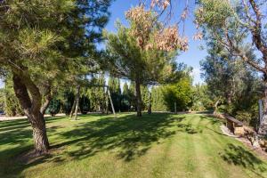 拉戈斯Quinta da Alquimia的公园里种有树木的大型草地