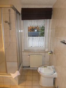 上舍纳奥尔穆勒展馆旅馆的一间带卫生间和淋浴的浴室以及窗户。