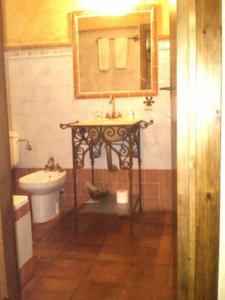 TuréganoLa Casa Vieja的一间带水槽、镜子和卫生间的浴室