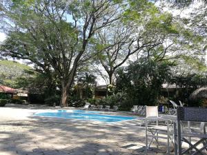 利比里亚埃尔锡蒂奥贝斯特韦斯特酒店及赌场的一个带椅子和桌子的游泳池以及树木