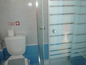 巴利恩依克诺玛奇思公寓的一间带卫生间和玻璃淋浴间的浴室