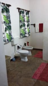 马林迪Villa Fortuna Malindi的一间带卫生间和镜子的浴室以及两个窗户。
