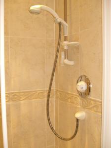 MontacuteMontacute Country Tearoooms B&B的浴室内配有淋浴和头顶淋浴