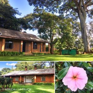 MulanjeAfricaWildTruck Eco Camp & Lodge的两幅房子和一朵粉红色花的照片