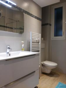 尼斯尼斯长廊公寓 的一间带水槽和卫生间的浴室