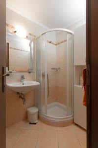 博德森特克Guest House Pod Grebenom的带淋浴和盥洗盆的浴室