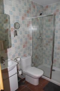 钦琼The Vanilla Suite的浴室配有卫生间、淋浴和盥洗盆。