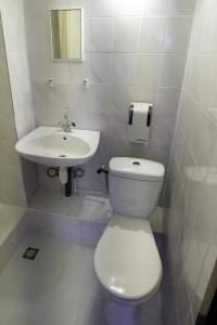 阿姆斯特丹本中心酒店的一间带卫生间和水槽的浴室