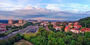 布拉格克里斯塔尔酒店的城市的空中景观,包括建筑和道路