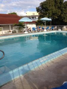 蒙特哥贝Montego Bay Club-Delux Seaside condo的一个带蓝色椅子和遮阳伞的大型游泳池