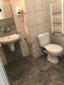 大特尔诺沃罗斯查酒店的一间带卫生间和水槽的浴室