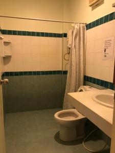 象岛棕榈花园公寓的浴室配有卫生间、盥洗盆和淋浴。
