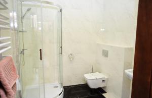 科韦利Nashe Misto Guest House的一间带卫生间和玻璃淋浴间的浴室