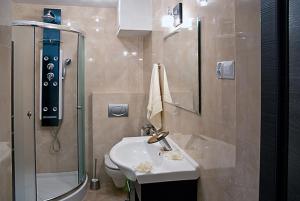 克雷尼察Apartament Kryształowy的一间带水槽、淋浴和卫生间的浴室