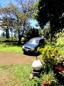 安加罗阿阿基科山林小屋的停在花园前的鸟浴车