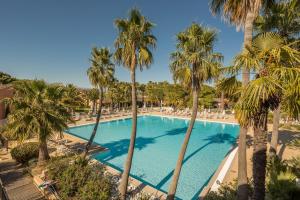 曼德琉-拉纳普勒Résidence Pierre & Vacances Les Rives de Cannes Mandelieu的一个带棕榈树和躺椅的游泳池