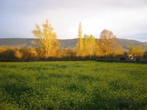 HuertaEstudio rural Estrella Polar III的一片绿草丛生,树丛和山峰背景