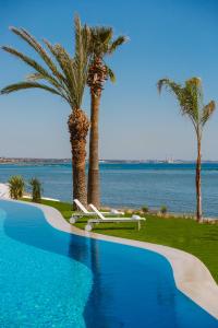 拉纳卡Lebay Beach Hotel的一座拥有两棵棕榈树和大海的游泳池