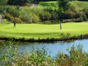 布林瑟姆Golf-Resort Brunssummerheide的两个人在河边的绿色草地上打高尔夫球