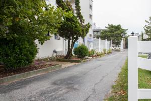 大洋城赤脚邮递员旅馆的一条有树木和白色围栏的空街道