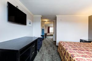 安纳海姆布埃纳维斯塔酒店的配有一张床和一台平面电视的酒店客房