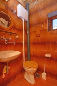 SirogojnoCabin Menka的一间带卫生间和水槽的浴室