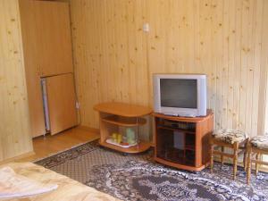 喀尔巴阡uoksany的配有电视、桌子和电视机的房间
