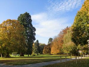 Villers-Sainte-Gertrude维莱城中心住宿加早餐旅馆的秋天的公园,有树木和小径