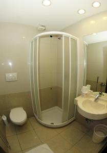 米兰奈图尔诺酒店的带淋浴、卫生间和盥洗盆的浴室