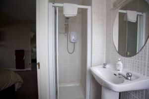 科克Coach Hill House的一间带水槽、淋浴和镜子的浴室