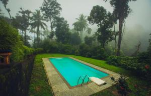 麦帕迪After the Rains - Rainforest Lodge的一座房子的院子内的游泳池