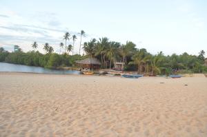 坦加拉唐加勒孤滩度假住宿加早餐旅馆的棕榈树海滩和小屋