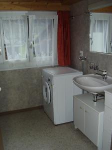 Hofstetten 西里酒店的一间带洗衣机和水槽的浴室