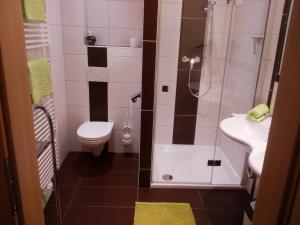 艾奇Appartment Stroblhof的浴室配有卫生间、淋浴和盥洗盆。