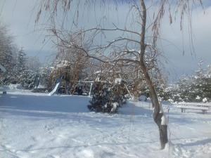 马里瑟尔Pensiunea Popasul Iancului的前场上一个有树的雪覆盖公园