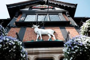 泰晤士河畔金斯顿白鹿酒店的建筑物一侧的山羊雕像