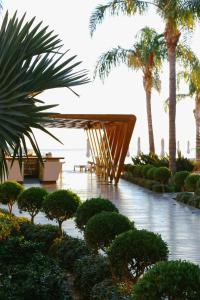卡尔帕索斯阿丽蒙德马蕾酒店的一个带木桌和棕榈树的花园