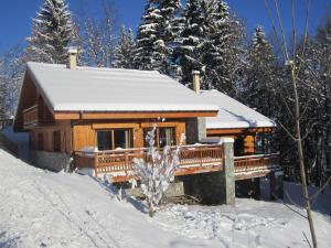 莱斯奥琉斯Chalet Les Jumelles的雪地小木屋