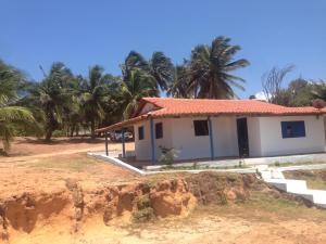 皮帕Casa do amor的棕榈树下山丘上的房屋